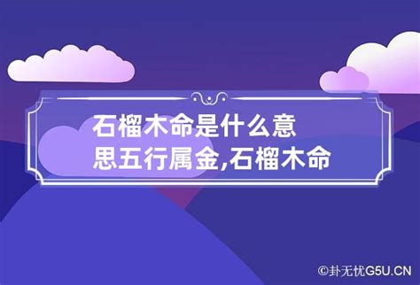 石榴木命是什么意思|什么是石榴木命